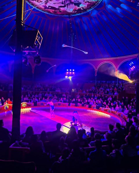 Circo en Tarragona Circo en Tarragona. Interior de la carpa del Circo Raluy.