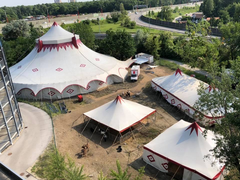 Circus Louis Knie de Austria