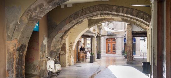 centro de igualada, circo raluy